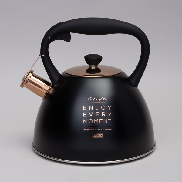 Изображение товара Чайник со свистком Agness 914-157