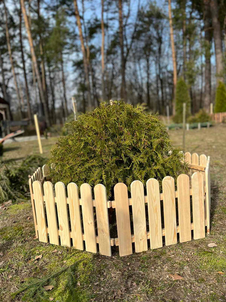 Изображение товара Изгородь декоративная Четыре Солнца XS (натуральный)