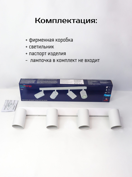 Изображение товара Спот Truenergy 21369