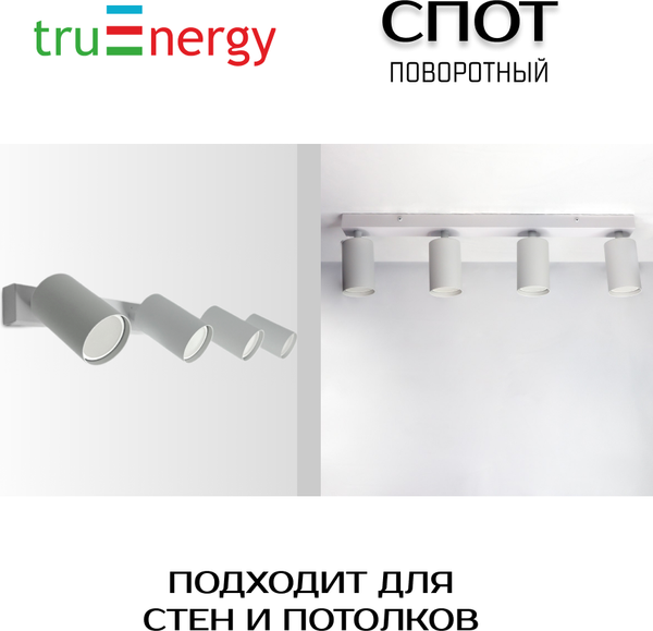 Изображение товара Спот Truenergy 21369