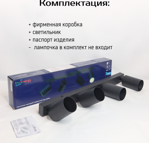 Изображение товара Спот Truenergy 21370