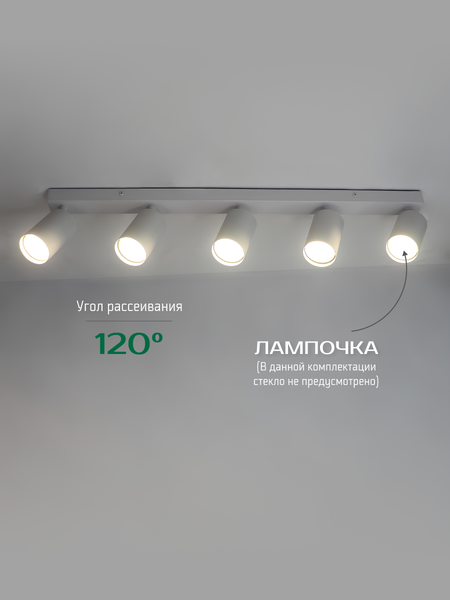 Изображение товара Спот Truenergy 21371