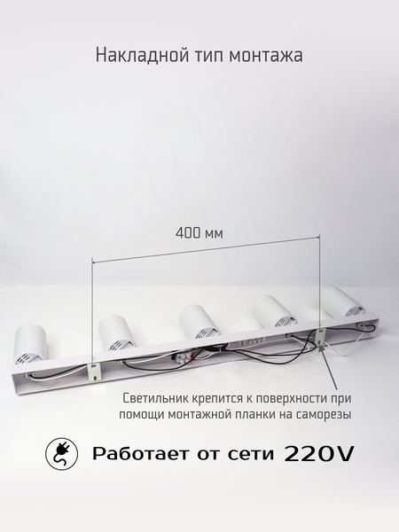 Изображение товара Спот Truenergy 21371