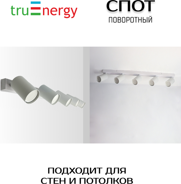 Изображение товара Спот Truenergy 21371