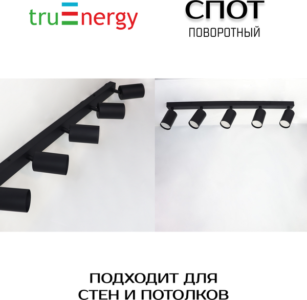 Изображение товара Спот Truenergy 21372