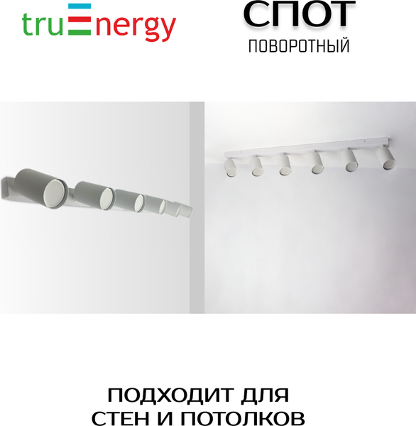 Изображение товара Спот Truenergy 21373