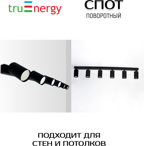 Изображение товара Спот Truenergy 21374