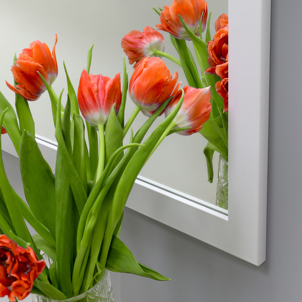 Изображение товара Зеркало Алмаз-Люкс MF-1 11040 (белый матовый)