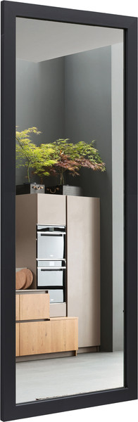 Изображение товара Зеркало Алмаз-Люкс MF-1 16050 (карбон)