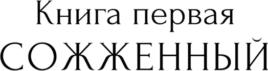 Изображение товара Художественная книга АСТ Катехон, твердая обложка (Афлатуни Сухбат 9785171680619)