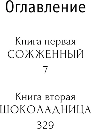 Изображение товара Художественная книга АСТ Катехон, твердая обложка (Афлатуни Сухбат 9785171680619)