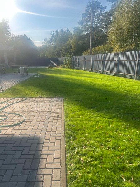 Изображение товара Семена газонной травы VDV Seeds Sport-Ground (500г)