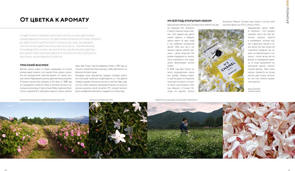 Изображение товара Нехудожественная книга КоЛибри Абсолютно Chanel. Комплект подарочный с пакетом (Орме Катрин 9785389270947)