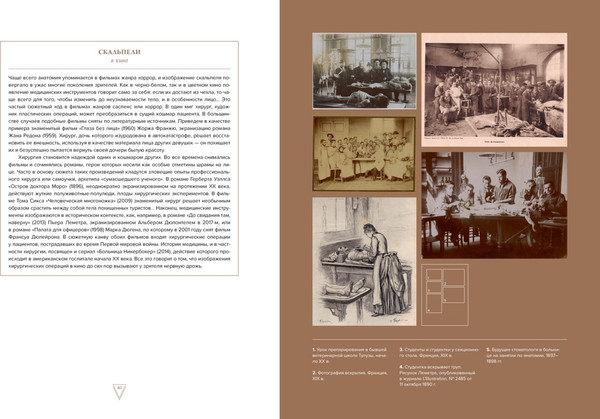 Изображение товара Книга КоЛибри Кабинет редкостей - анатомических, медицинских и жутких (Каз Жюльет, твердая обложка)