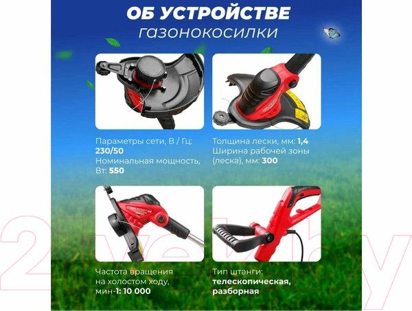 Изображение товара Триммер электрический Wortex TE 3005 (TE300500019)