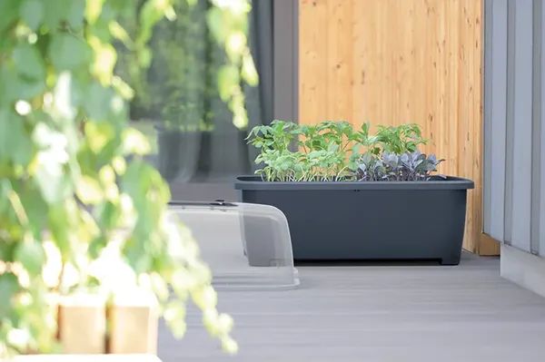 Изображение товара Теплица переносная Prosperplast Greenhouse Respana Planter Set Lime / DREP770-389U