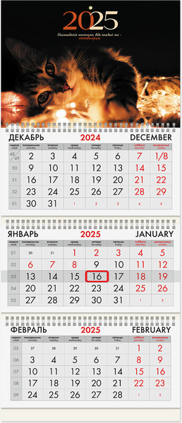 Изображение товара Календарь настенный Brauberg Милый котик 2025г квартальный / 116099