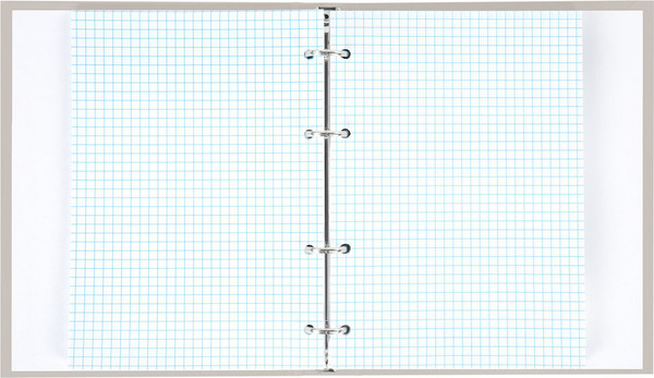 Изображение товара Тетрадь Brauberg Minimal / 404997 (120л, бежевый)