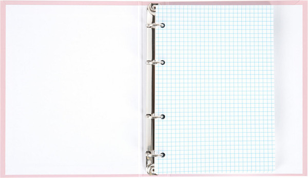 Изображение товара Тетрадь Brauberg Minimal / 404998 (120л, розовый)