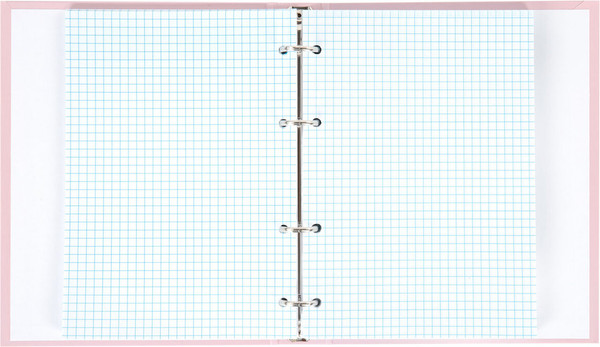 Изображение товара Тетрадь Brauberg Minimal / 404998 (120л, розовый)