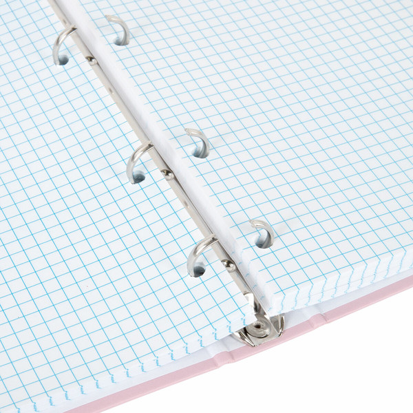 Изображение товара Тетрадь Brauberg Minimal / 404998 (120л, розовый)