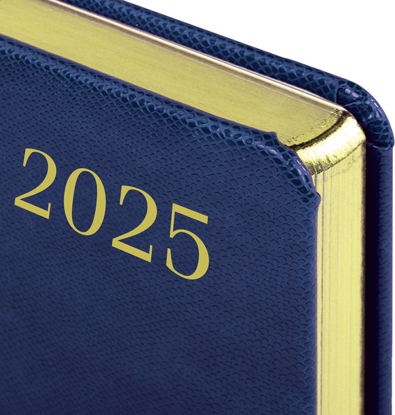 Изображение товара Ежедневник Brauberg Iguana 2025 / 115781 (синий)