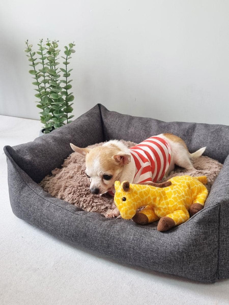 Изображение товара Лежанка для животных MATEX Pet Lux / 55-990 (темно-серый/кофейный)