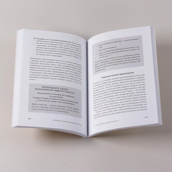 Изображение товара Книга Альпина Человек в поисках идентичности, мягкая обложка (Даббс Ким)