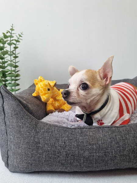 Изображение товара Лежанка для животных MATEX Pet Lux / 56-003 (темно-серый/серый)