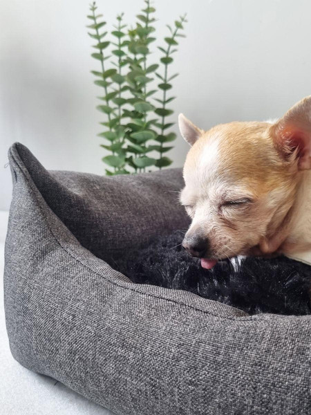 Изображение товара Лежанка для животных MATEX Pet Lux / 56-010 (темно-серый/черный)