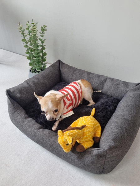 Изображение товара Лежанка для животных MATEX Pet Lux / 56-010 (темно-серый/черный)