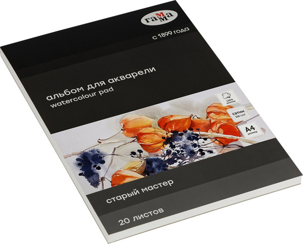 Изображение товара Альбом для рисования ГАММА Старый Мастер / 215533AGRC (20л)