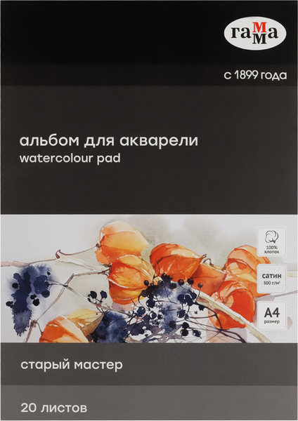 Изображение товара Альбом для рисования ГАММА Старый Мастер / 215533AGRC (20л)