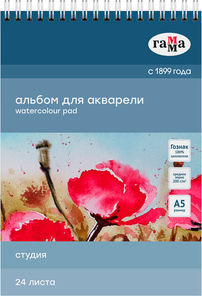 Изображение товара Альбом для рисования ГАММА Студия / 50C01S724W (24л)