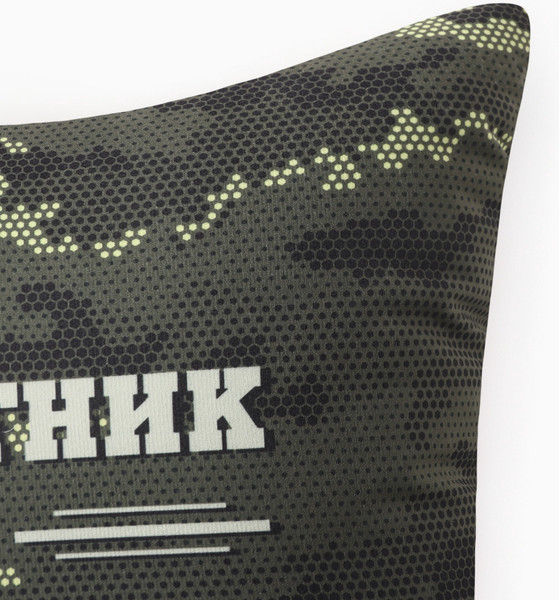 Изображение товара Подушка декоративная Этель Защитник и опора / 10805391 (40x40, велюр)