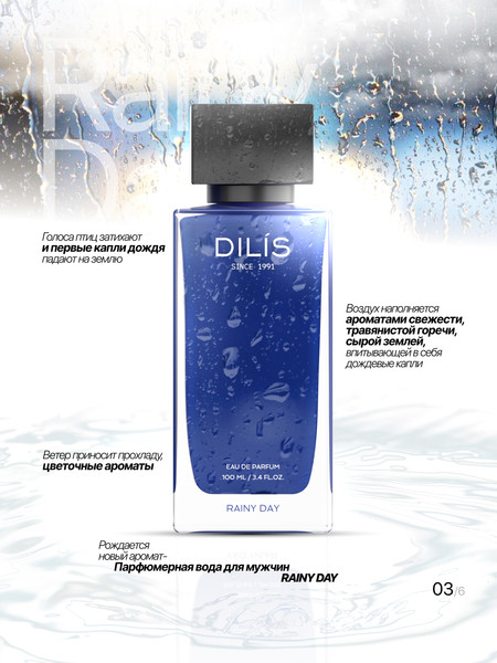 Изображение товара Парфюмерная вода Dilis Parfum Day&Night Rainy Day (100мл)
