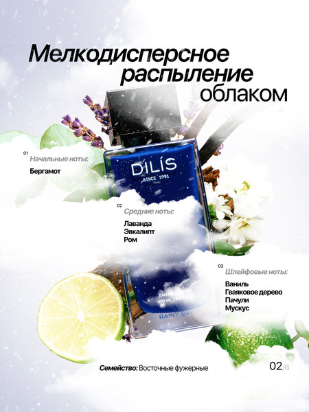 Изображение товара Парфюмерная вода Dilis Parfum Day&Night Rainy Day (100мл)