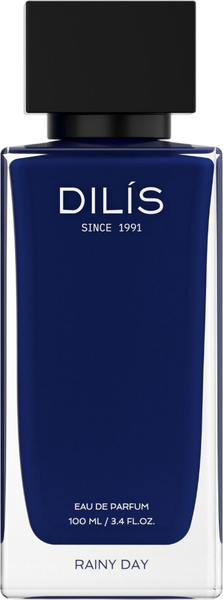 Изображение товара Парфюмерная вода Dilis Parfum Day&Night Rainy Day (100мл)