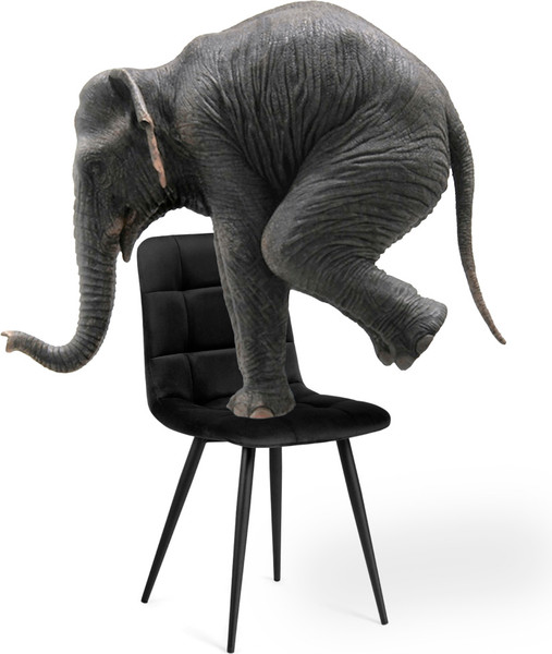 Изображение товара Стул Notta Чилли К (бежевый/черный)