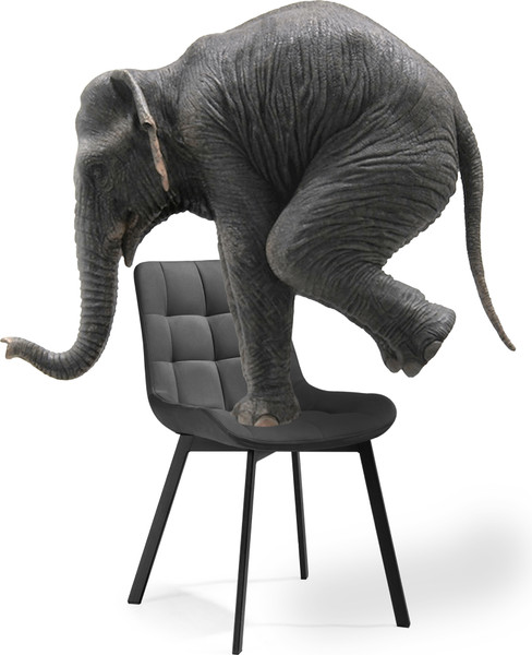 Изображение товара Стул Notta Челси (черный/светло-серый)