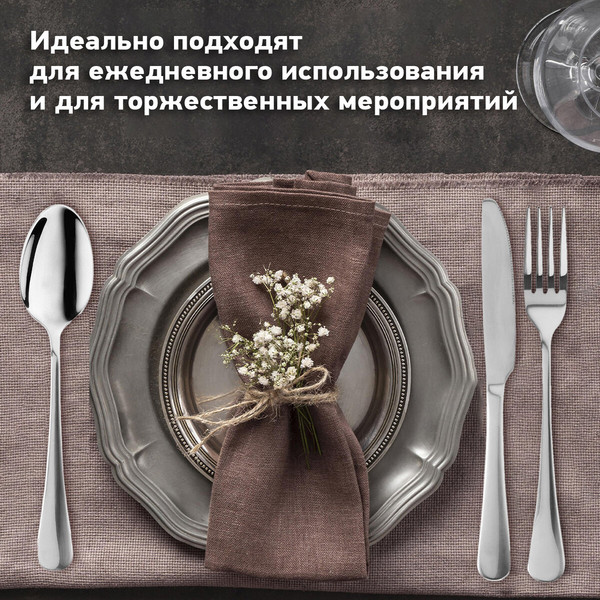 Изображение товара Набор столовых приборов Daswerk Premium / 609073 (24шт, серебристый)