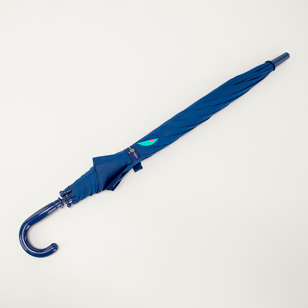Изображение товара Зонт складной Rain Berry 734-4110-NAV (синий)