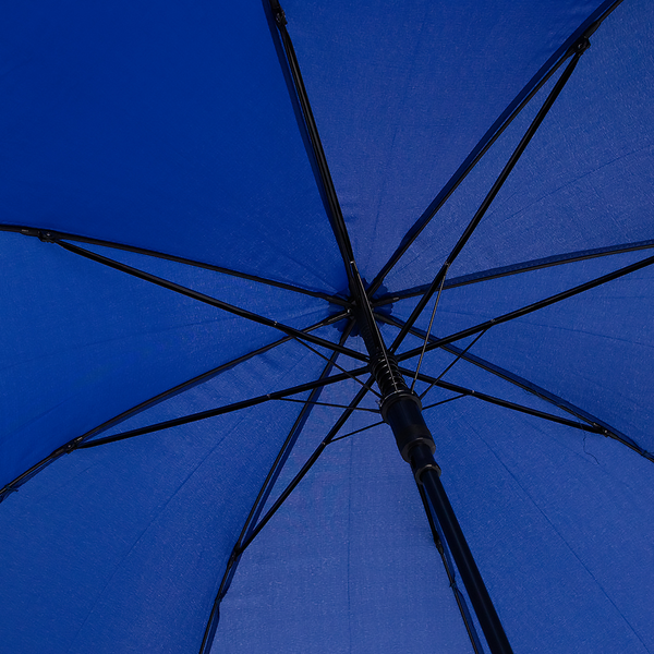 Изображение товара Зонт складной Rain Berry 734-4110-NAV (синий)