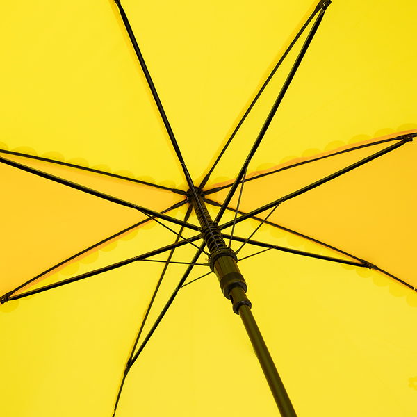 Изображение товара Зонт-трость Rain Berry 734-4110-YLW (желтый)