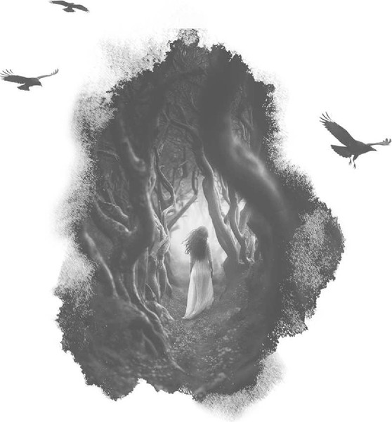 Изображение товара Книга Эксмо Плачущий лес, мягкая обложка (Нури Альбина)