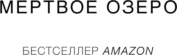 Изображение товара Книга Эксмо Мрачный залив, мягкая обложка (Кейн Рейчел)