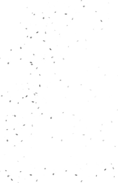 Изображение товара Книга АСТ Аптека сердечных дел семьи Ботеро, твердая обложка (Ли Сонен )