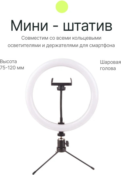 Изображение товара Кольцевая лампа RayLab RL-0210