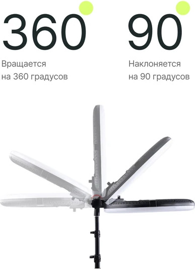 Изображение товара Кольцевая лампа RayLab RL-0210