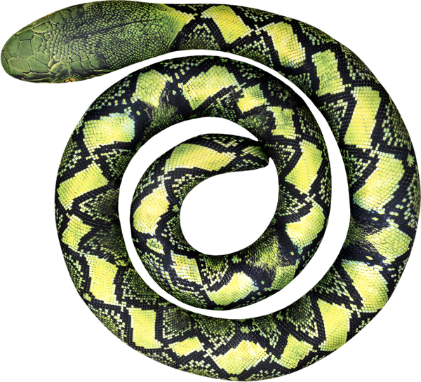 Изображение товара Мягкая игрушка Leader Toys Змея спираль / МТ11029 (зеленый)